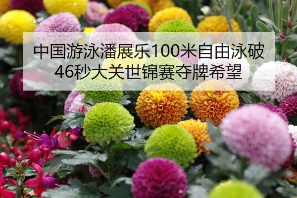 中国游泳潘展乐100米自由泳破46秒大关世锦赛夺牌希望